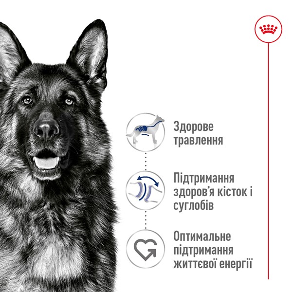 Maxi Adult 5+ (15kg)