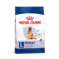 Maxi Adult 5+ (15kg)