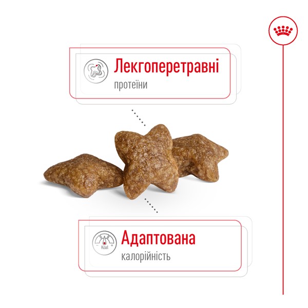 Mini Adult (2kg)