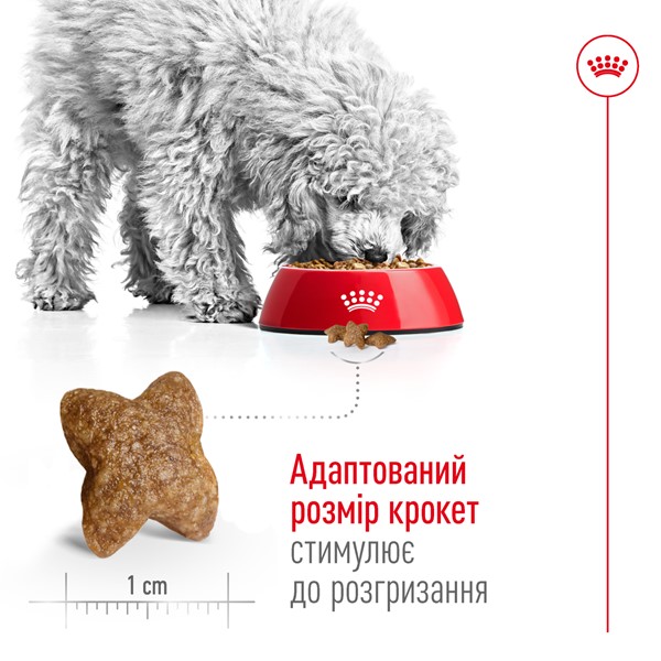 Mini Adult (2kg)