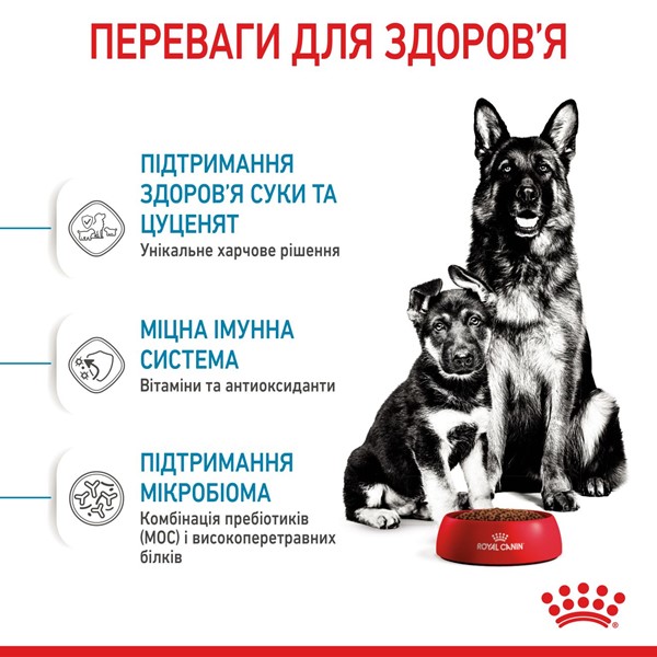 Starter Mother &amp; Babydog - Maxi (15kg)