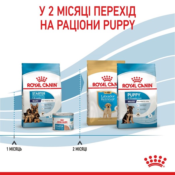 Starter Mother &amp; Babydog - Maxi (15kg)