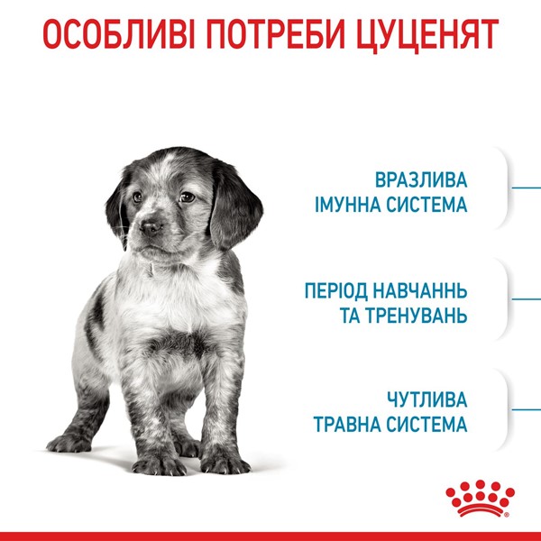 Medium Puppy (4kg)