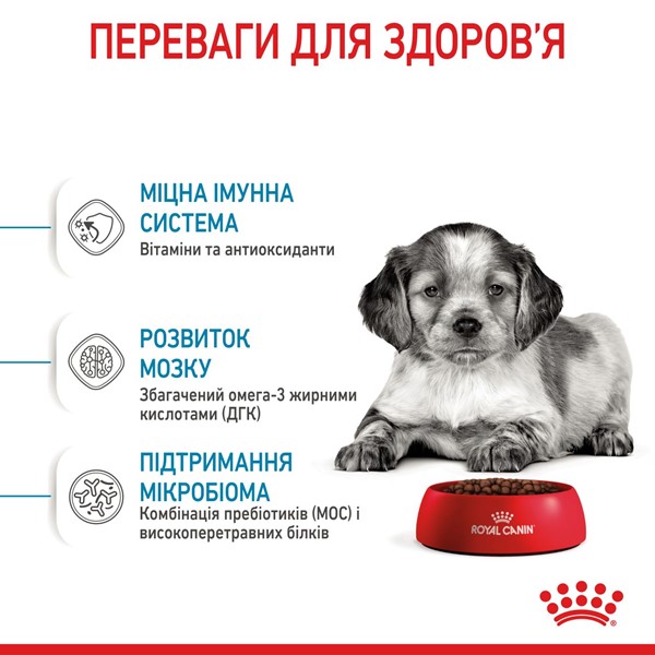 Medium Puppy (4kg)