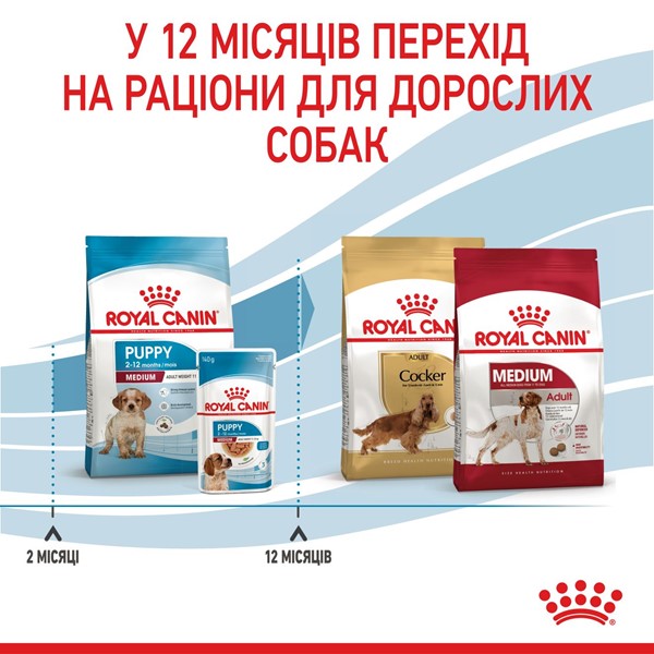 Medium Puppy (4kg)