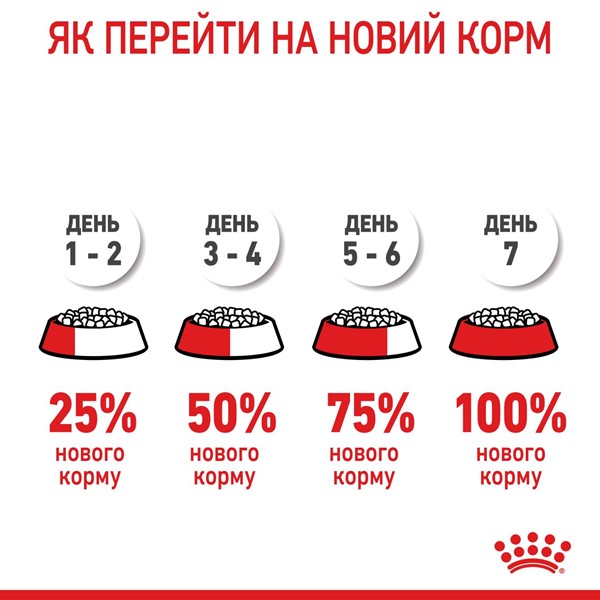 Medium Puppy (4kg)