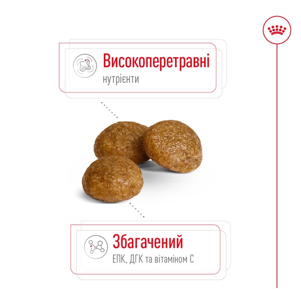 X-Small Adult (500g)