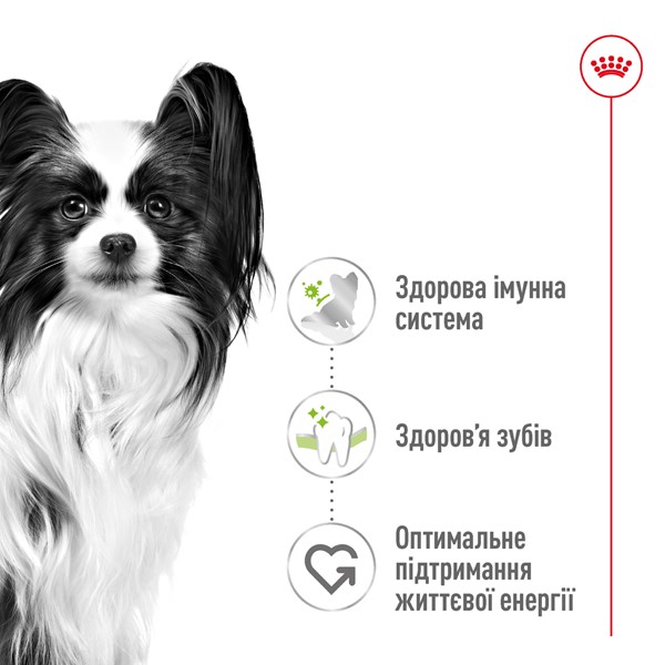 X-Small Adult (1.5kg)