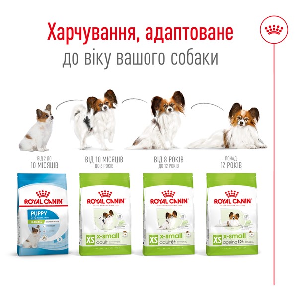 X-Small Adult (1.5kg)