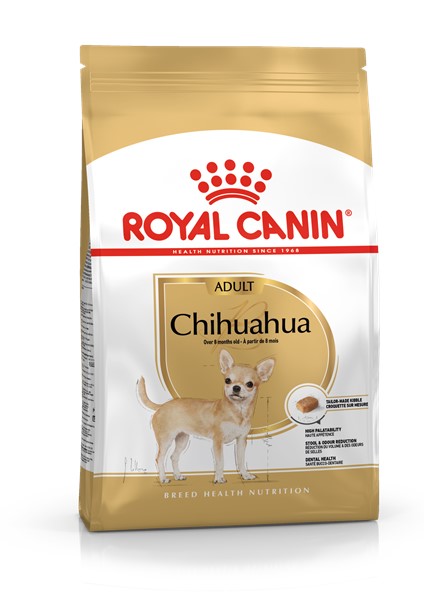 Chihuahua Adult (500g)