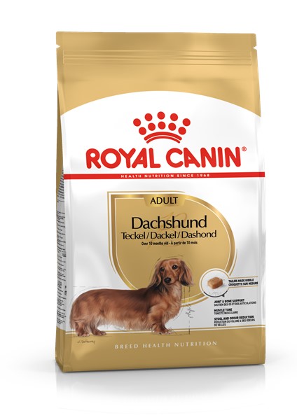 Dachshund adult (1.5kg)