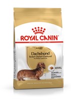 Dachshund adult (1.5kg)
