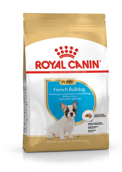French Bulldog Puppy (10kg)