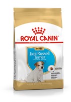 Jack Russell Terrier Puppy (3kg)