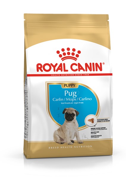 Pug Puppy (1.5kg)