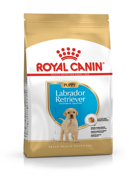 Labrador Retriever Puppy (3kg)