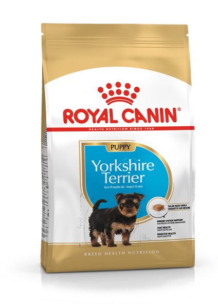 Yorkshire Terrier Puppy (500g)
