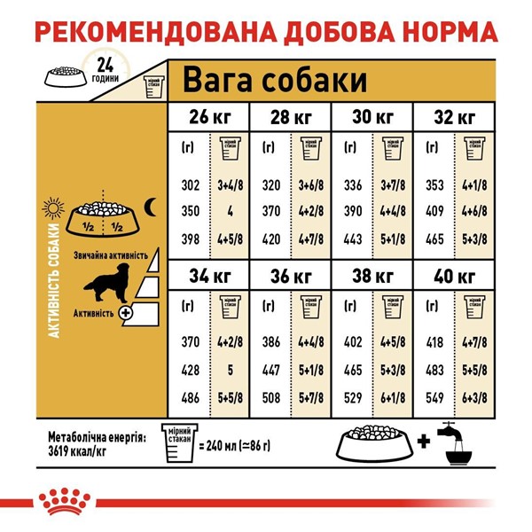 Golden Retriever Adult (3kg)