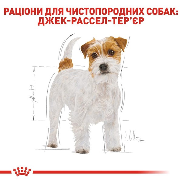 Jack Russel Adult (1.5kg)
