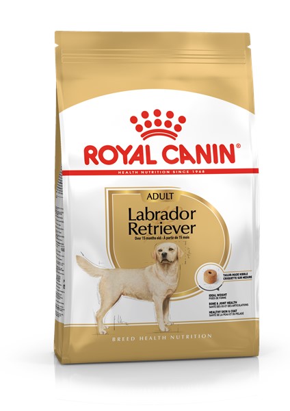 Labrador Retriever Adult (3kg)
