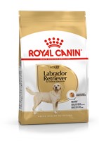 Labrador Retriever Adult (12kg)