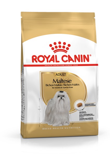 Maltese Adult (500g)