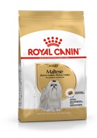 Maltese Adult (500g)