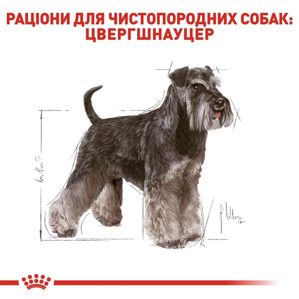 Miniature Schnauzer Adult (7.5kg)