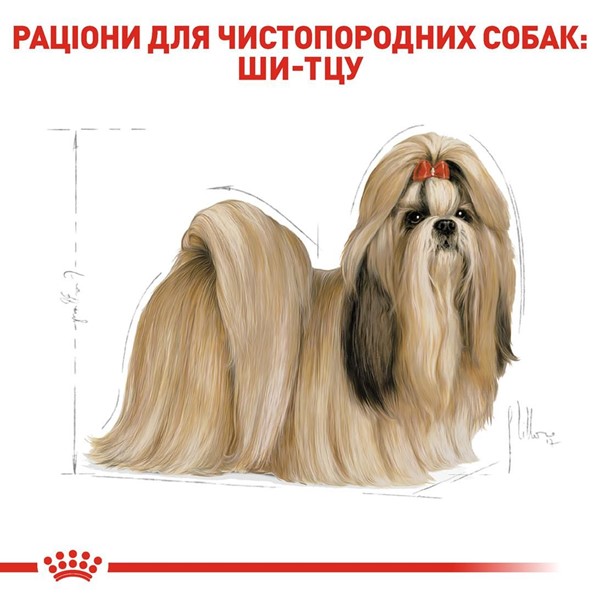 Shih Tzu Adult (500g)