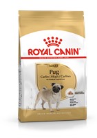 Pug Adult (500g)
