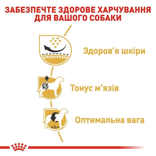 Pug Adult (3kg)