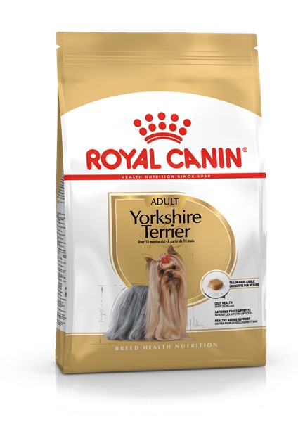Yorkshire Terrier Adult (1.5kg)
