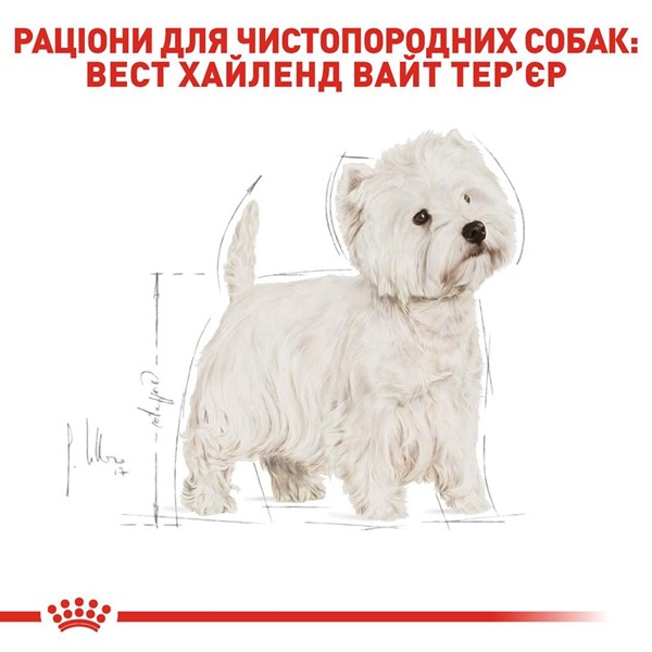 West Highland White Terrier Adult (500g)