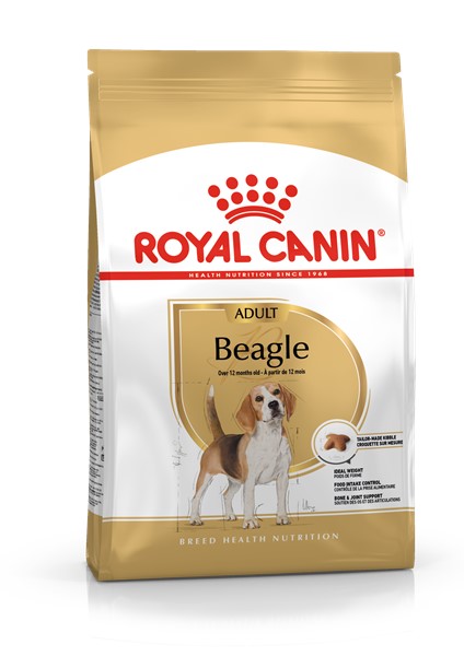 Beagle Adult (3kg)