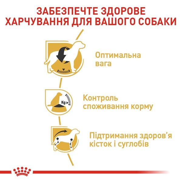 Beagle Adult (3kg)