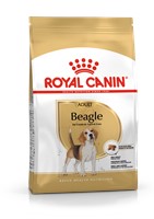 Beagle Adult (3kg)