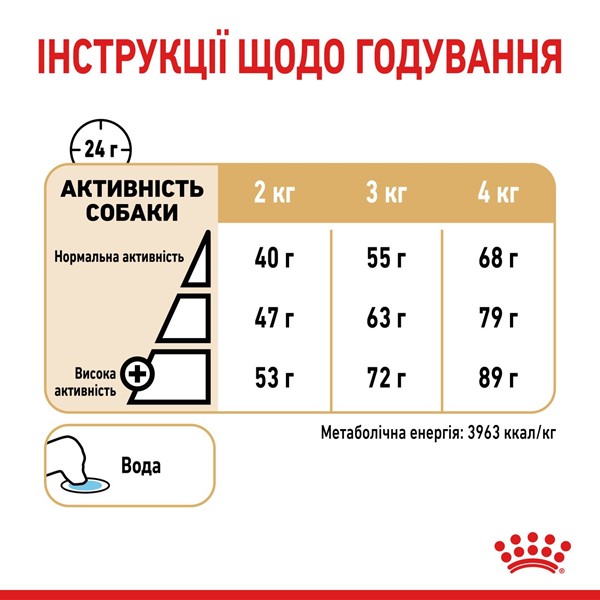 Yorkshire Terrier 8+ (500g)