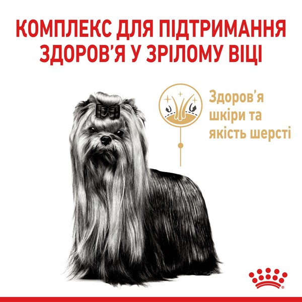 Yorkshire Terrier 8+ (500g)
