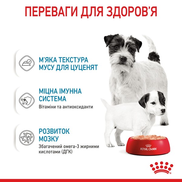Starter Mousse Mother &amp; Babydog (1 x 195g)