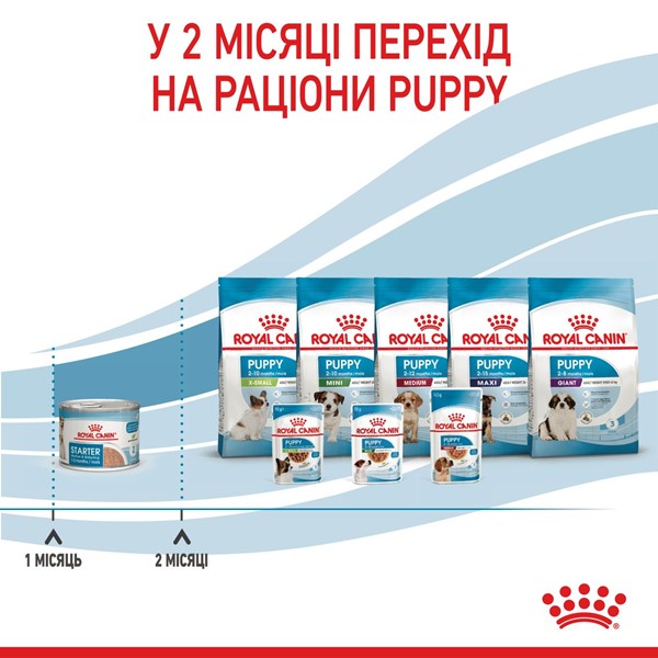 Starter Mousse Mother &amp; Babydog (1 x 195g)