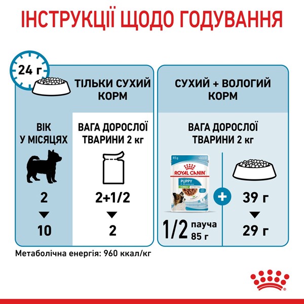 X-small Puppy (1 x 85g)
