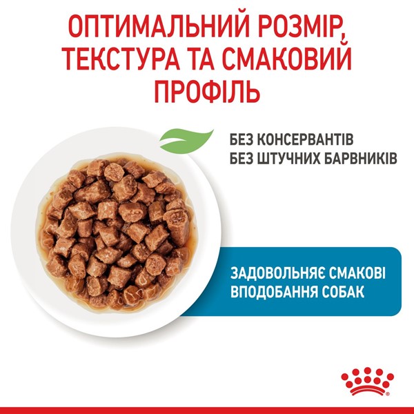 X-small Puppy (1 x 85g)