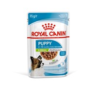 X-small Puppy (1 x 85g)
