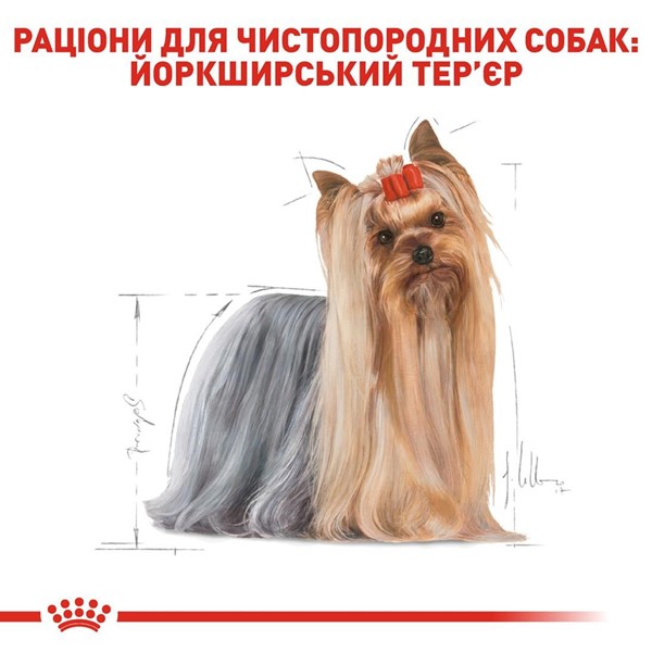 Yorkshire Terrier (12 x 85g)