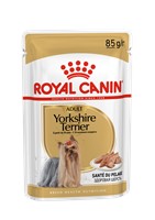 Yorkshire Terrier (12 x 85g)