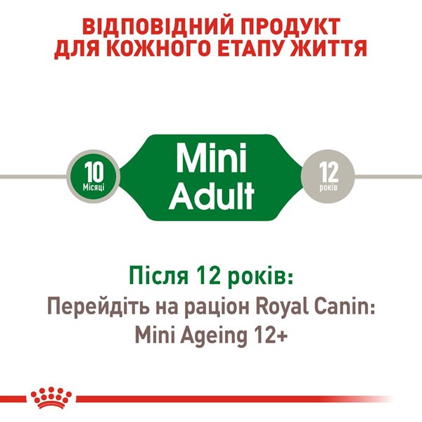 Mini Adult (1 x 85g)