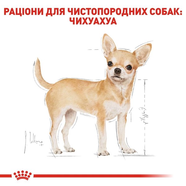Chihuahua (1 x 85g)