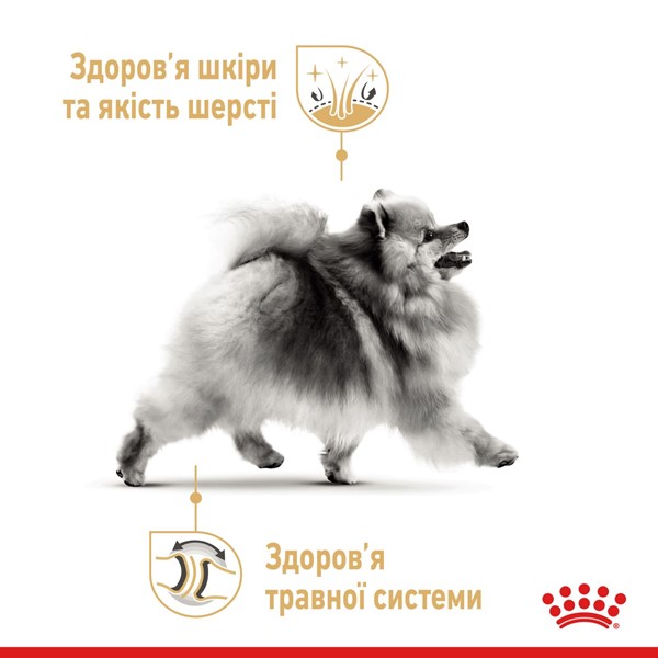 Pomeranian (1 x 85g)